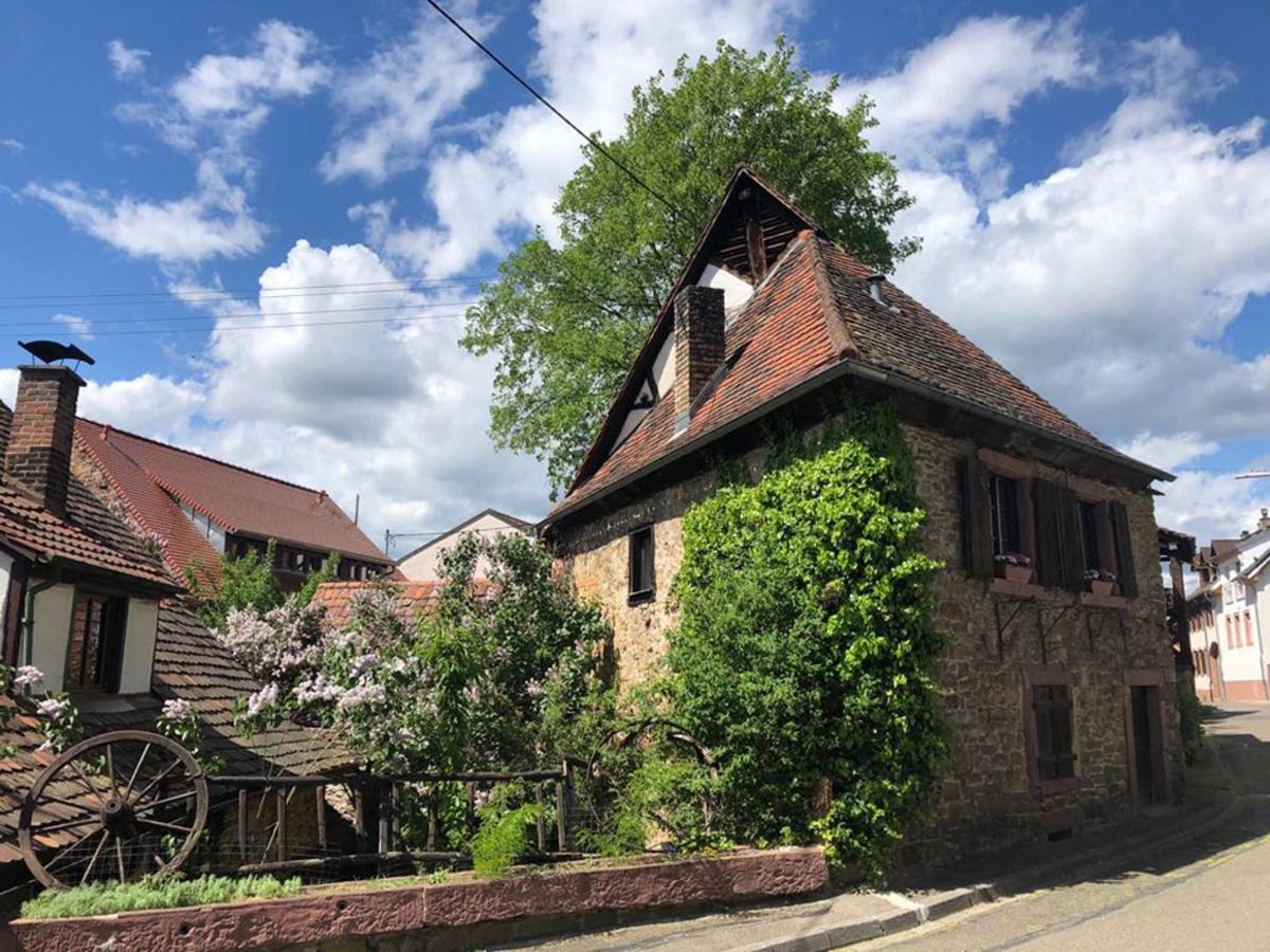 1463 Apartmenthaus Karlsruhe Kültér fotó